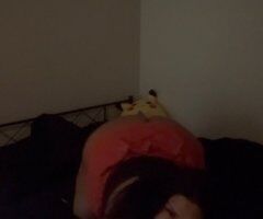 Denver CO Female Escort — Selena — Incall/Outcall - Image 2