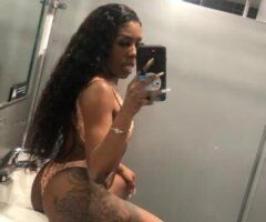 Gainesville escorts - Gainesville In-Call Female Escort (Hotel) — Incalls Only