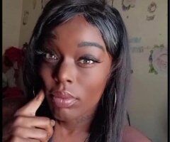 Exotic In-Call/Outcall Female Escort in Gainesville, FL - Image 2