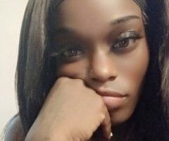Exotic In-Call/Outcall Female Escort in Gainesville, FL - Image 5