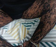 Dallas Texas Female Escort — pickup only, donation upfront - Image 3