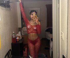 Norfolk Petite & Curvy Foreign Escort — Incall / Outcalls - Image 4