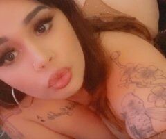 San Jose 2-Girl Show Female Escort — Cashmere (Outcalls, Incalls & Cardates) - Image 3