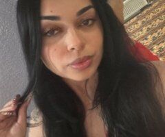 Deja Exotic Outcall & Screening — Phoenix Area - Image 3