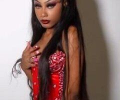 Annandale Female Escort — Upscale outcalls & incalls - Image 5