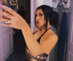 North Bay escorts - North Bay CA Exotic Barbie — Slim Curvy Female Escort (Breakfast & Dinner Dates)