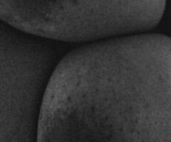 Chicago escorts - University Park Big Girl Eater  — Incall & Outcalls