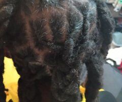 Baton Rouge escorts - Baton Rouge Female Escort — In-Calls Hair Twists & Massage Specials