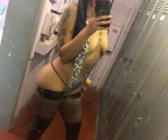 Indianapolis Female Escort — Ava (Puerto Rican) Incall & Outcall - Image 5
