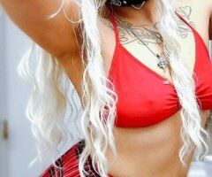 Exotic Italian Goddess — Headache/BNG Collabs, Major Discount (South Bend, IN) - Image 9