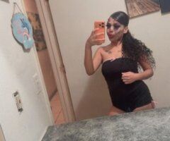 San Jose escorts - San Jose Party Girl  Outcalls — 5'1 Slim, Independent