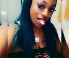 Stockton Queen Escort — available now - Image 6