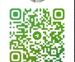 Boston escorts - Boston Female Escort — Oral, massages, and more