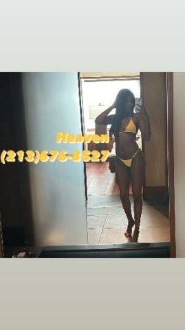 Concord Female Escort — Flirty session + kinks welcome - 1