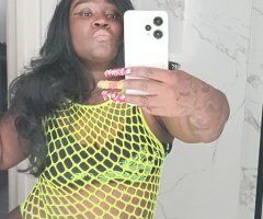 Lafayette escorts - Lafayette Female Escort — Real Pictures, Fresh Content