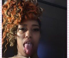 Bronx escorts - Bronx Female Escort — quick fun, half hour, hour, head only, hand jobs