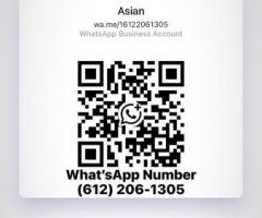 Boston escorts - Asian Female Escort in Boston — In/Outcall, Hotel or Car