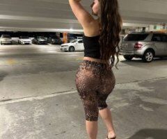 Chicago Female Escort — Incalls & outcalls today (med student, discreet) - Image 3