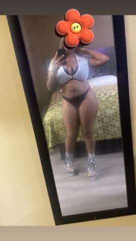 San Antonio Texas Female Escort — premium Snap, Pics, live shows, and roses - 1