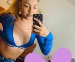 Las Vegas escorts - Las Vegas Incalls Female Escort — $80 Specials, Real Pictures, Discreet Service
