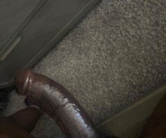 Cleveland Male Escort — Outcall & Incall - Image 1
