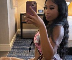 Brownskin Beauty in Denver — Incalls, Outcalls & Cards - Image 6