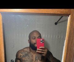Albany escorts - Albany NY / Schenectady NY Male Escort