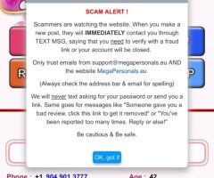 Charlotte, NC Escort (No Bare) — Ask Questions by Call/Snap/Instagram - Image 10