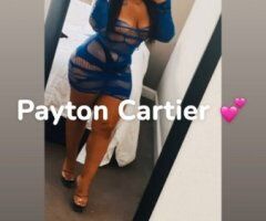 Payton in Washington, DC — Incall Specials + Premium Upgrades - Image 8