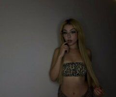 Portland escorts - Portland OR PlayGirl Bunny — Nuru massage, custom content & sexting