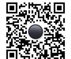 Toledo Ohio Escort — Donate After a Required Selfie - Image 3