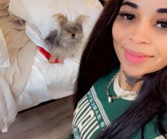 Miami escorts - Miami Female Escort — Cubana mulata (28)