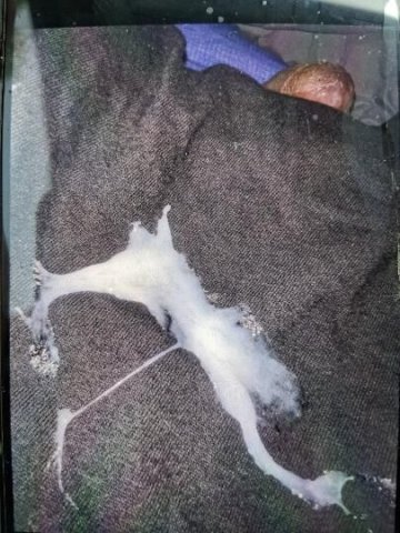 York PA “Anything Nasty” Non-Rushed Erotic Man (Top/Bottom, Out-Calls, Facetime) - 1