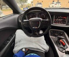 Houston Hung Dick  — Top Only, HMU for In/Outcalls - Image 4