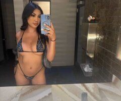 Los Angeles escorts - Persian & Spanish Beauty in Los Angeles — 300 HHR / 400 HHR, Video Verification