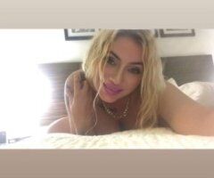 Sarasota/Bradenton Female Escort — Oral w/o Condom, Kisses, GFE, Extras - Image 8