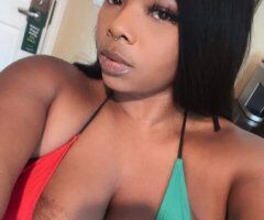 San Mateo escorts - Brianna in San Mateo — Busty Young Female Escort (Discreet Outcalls)