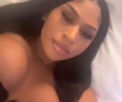 Colorado Springs escorts - Colorado Springs Pleasure  Teasing & Discreet Sweet Treat