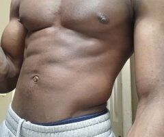 Gentle Young Bull in Atlanta — 2 hours for $80 - Image 4