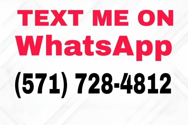 Ocala GFE & Anal-Friendly Escort — texts on Snapchat/WhatsApp - 1
