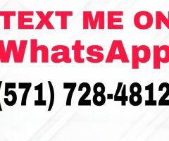 Ocala escorts - Ocala GFE & Anal-Friendly Escort — texts on Snapchat/WhatsApp