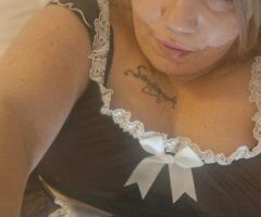 Phat Kat Wet Pusc - 33 in St. Louis, MO - Image 10