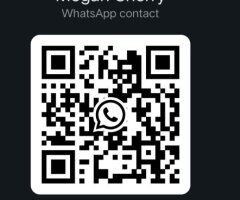 Kansas City Escort (26) — No Condom and All Services, Incall/Outcall/Carplay - Image 3