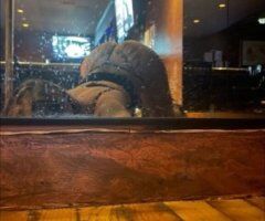 Desiree — Snow Bunny Escort in Boston, MA (Throat Service) - Image 3