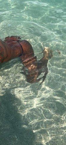 Incalls Only — Fort Lauderdale Male Escort - 1