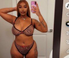 St. Petersburg Female Escort — Outcalls Only - Image 11