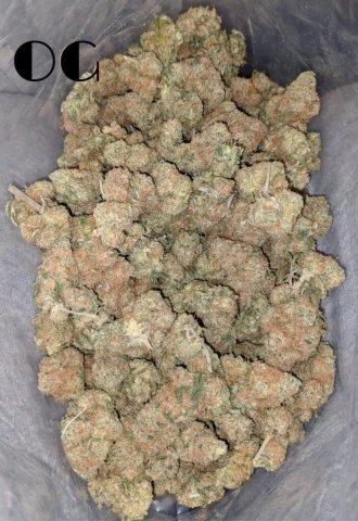 Chicago Plug on the Pull — $20 3.5 deal - 1