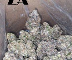 Chicago Plug on the Pull — $20 3.5 deal - Image 2