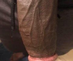Denver escorts - Denver Male Escort — Free Incall Only