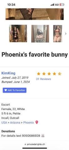 Phoenix Female Escort — Bunny Play (24) - 1